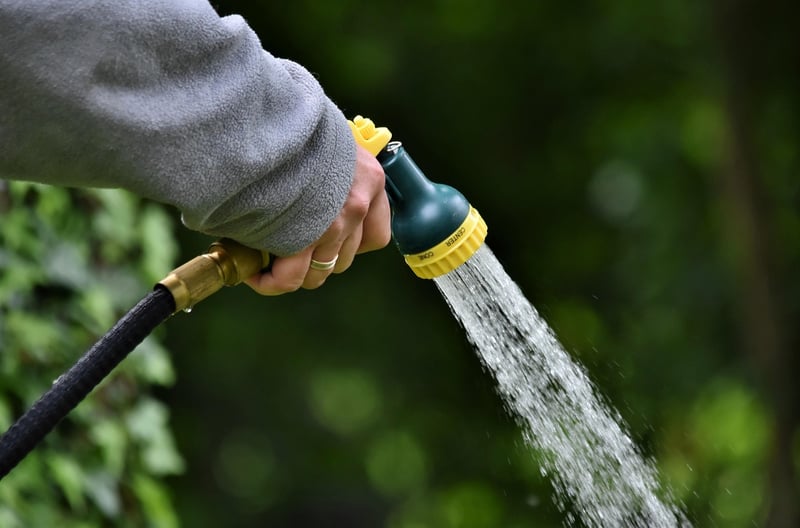Enchanted Watering Techniques